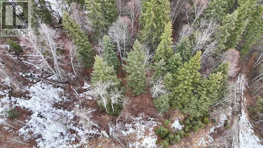 17 Hidden Valley Close, Rural Clearwater County, Alberta  T4T 2A2 - Photo 25 - A2285501