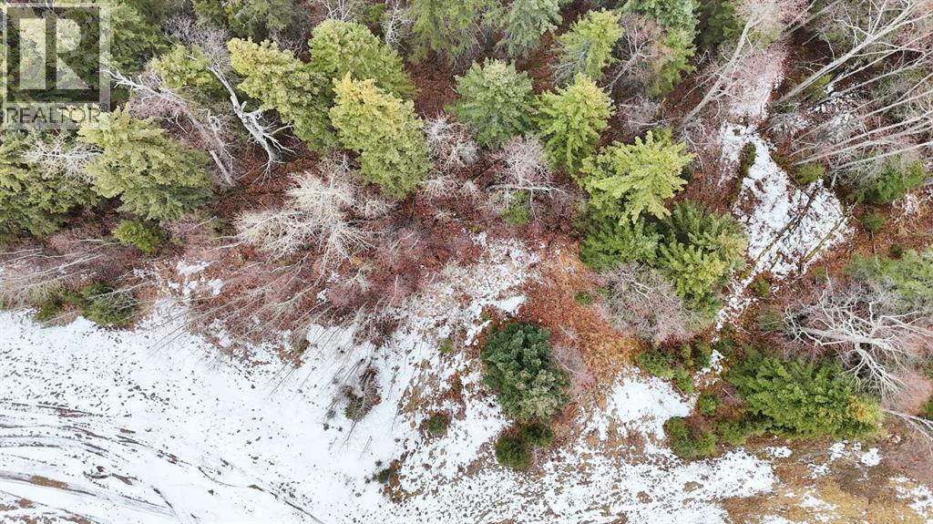 17 Hidden Valley Close, Rural Clearwater County, Alberta  T4T 2A2 - Photo 14 - A2285501