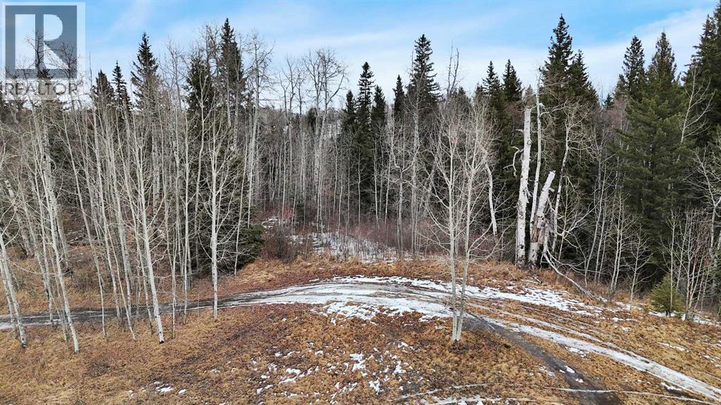 17 Hidden Valley Close, Rural Clearwater County, Alberta  T4T 2A2 - Photo 24 - A2285501