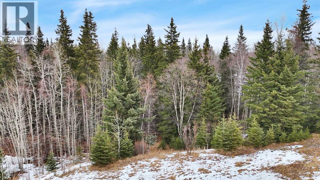 17 Hidden Valley Close, Rural Clearwater County, Alberta  T4T 2A2 - Photo 12 - A2285501