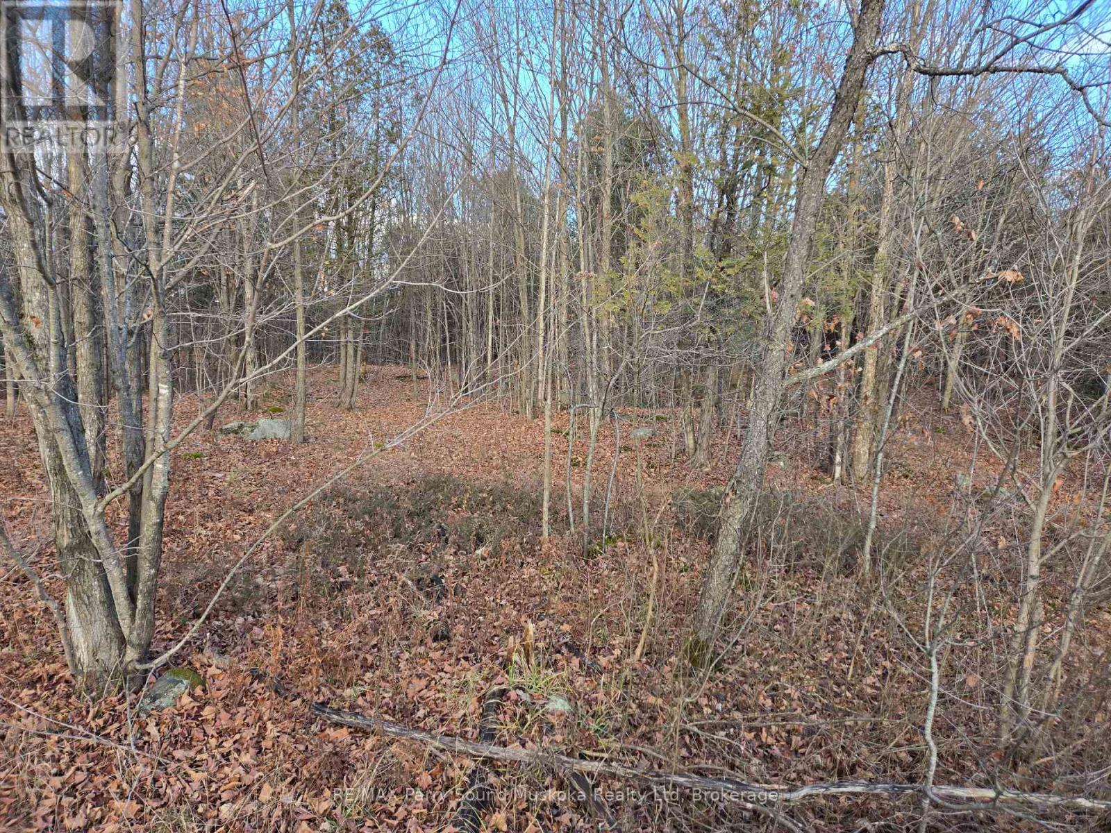 19 Turtle Lane, Mckellar, Ontario  P0G 1C0 - Photo 10 - X12784098