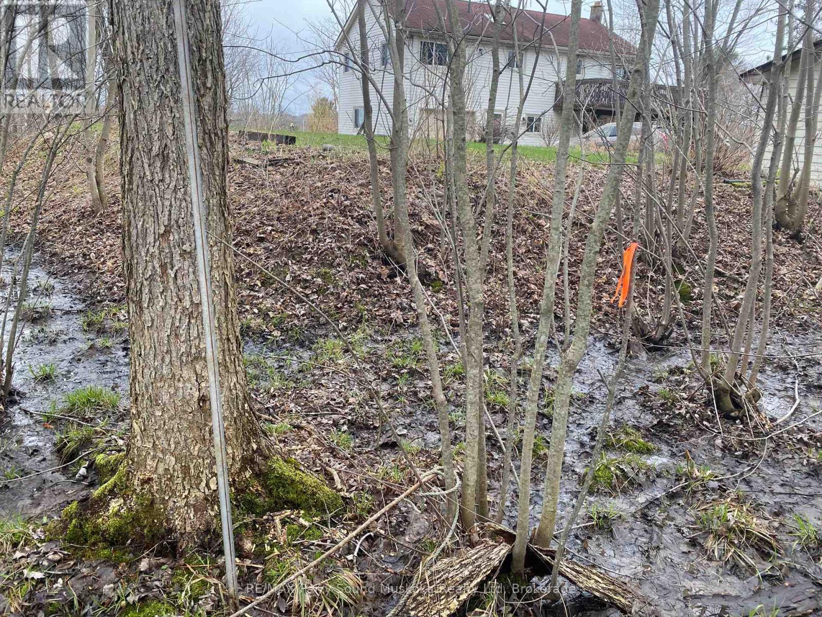 19 Turtle Lane, Mckellar, Ontario  P0G 1C0 - Photo 12 - X12784098