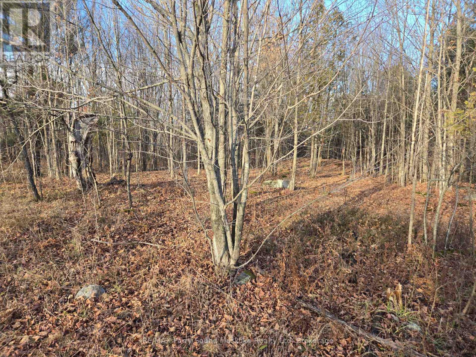 19 Turtle Lane, Mckellar, Ontario  P0G 1C0 - Photo 5 - X12784098