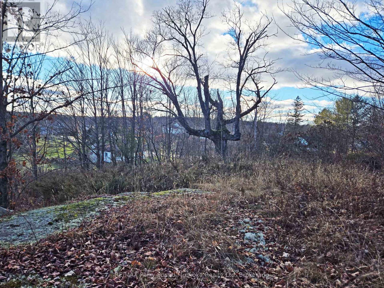 19 Turtle Lane, Mckellar, Ontario  P0G 1C0 - Photo 8 - X12784098