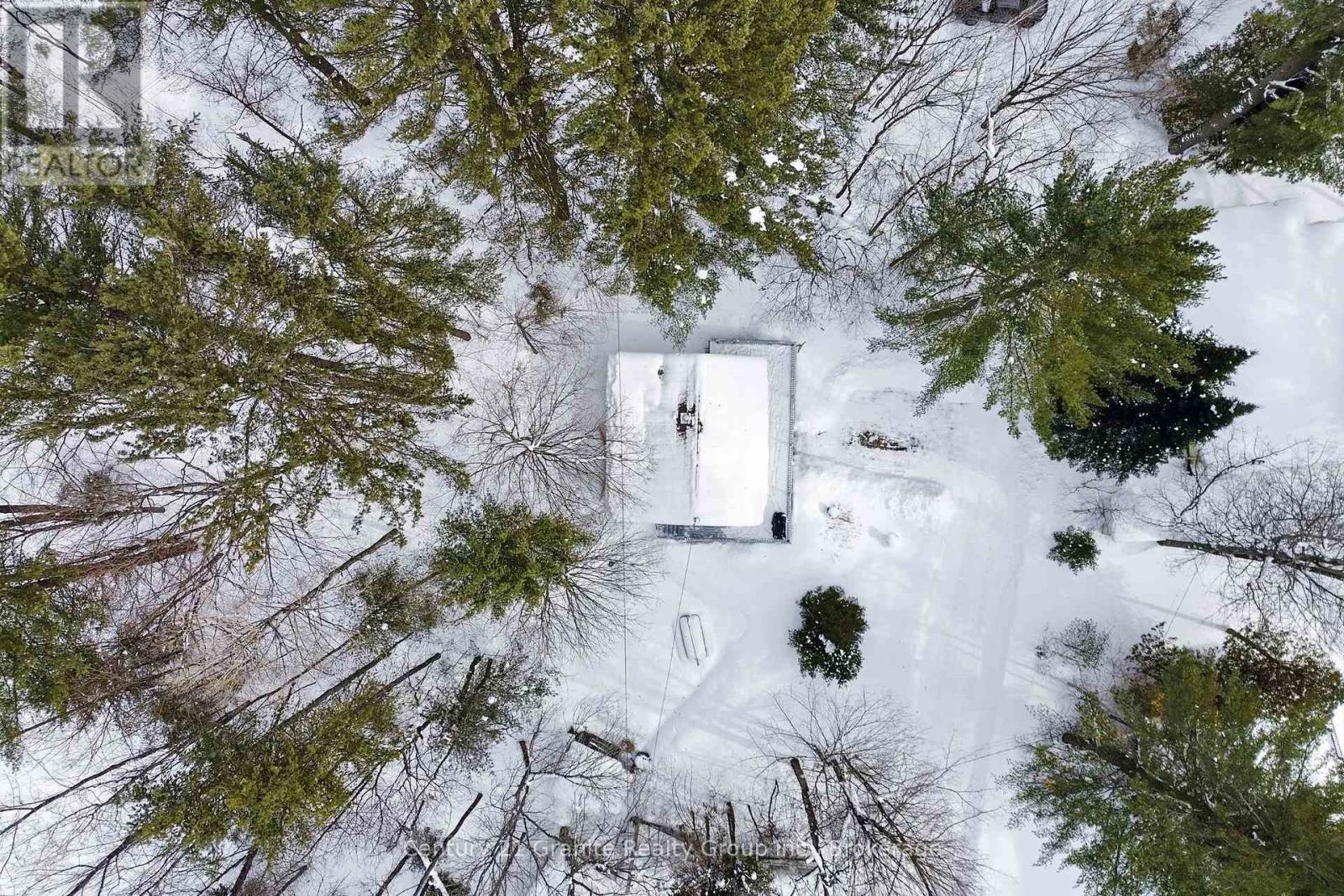 1019 Pike Lane, Dysart Et Al, Ontario K0M 1S0 - Photo 39 - X12784164