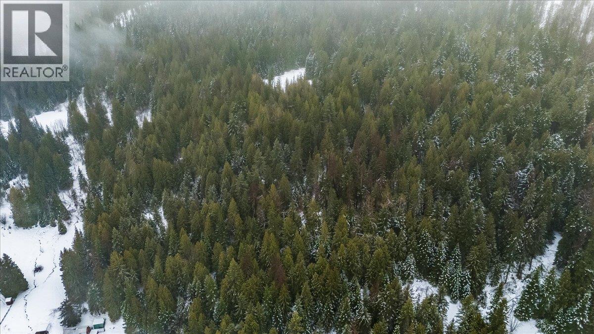 Deer Park Drive Lot# 21, Rossland, British Columbia  V0G 1Y0 - Photo 4 - 10374414