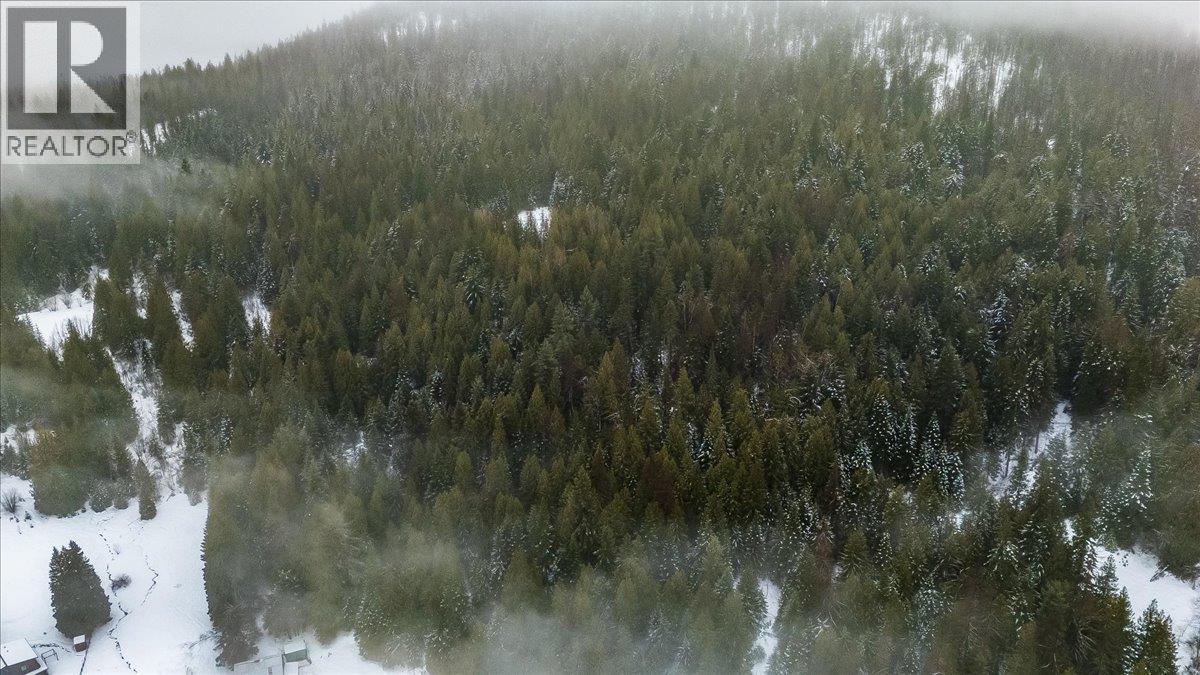 Deer Park Drive Lot# 21, Rossland, British Columbia  V0G 1Y0 - Photo 6 - 10374414