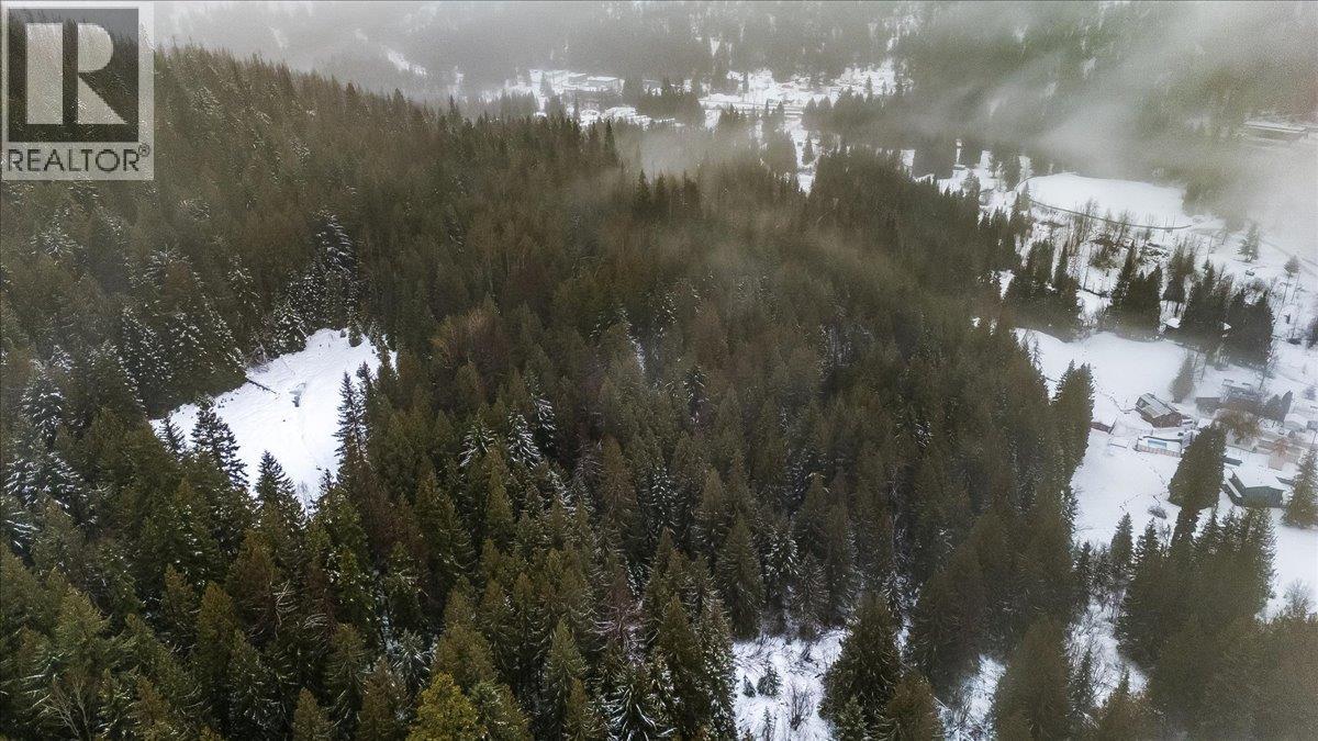 Deer Park Drive Lot# 21, Rossland, British Columbia  V0G 1Y0 - Photo 2 - 10374414