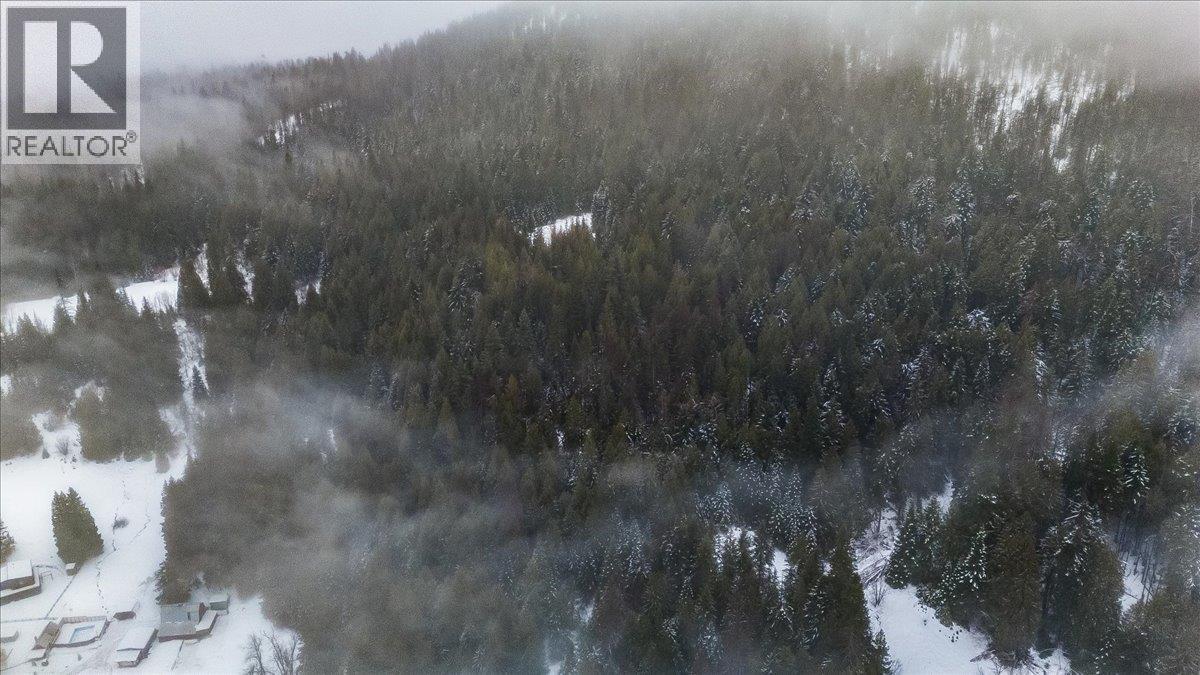 Deer Park Drive Lot# 21, Rossland, British Columbia  V0G 1Y0 - Photo 3 - 10374414