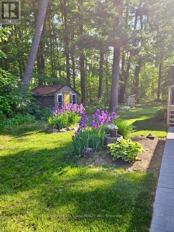 29 Stinsons Bay Road, Kawartha Lakes (Verulam), Ontario  K0M 1N0 - Photo 35 - X12783998