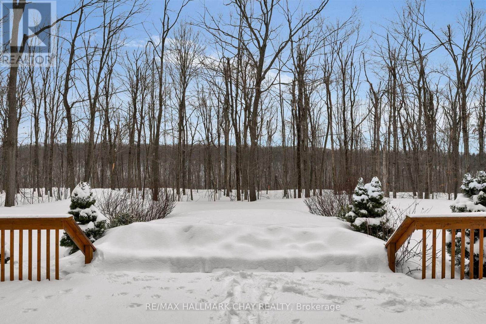 29 Maple Ridge Road, Oro-Medonte, Ontario  L0L 2L0 - Photo 33 - S12784104