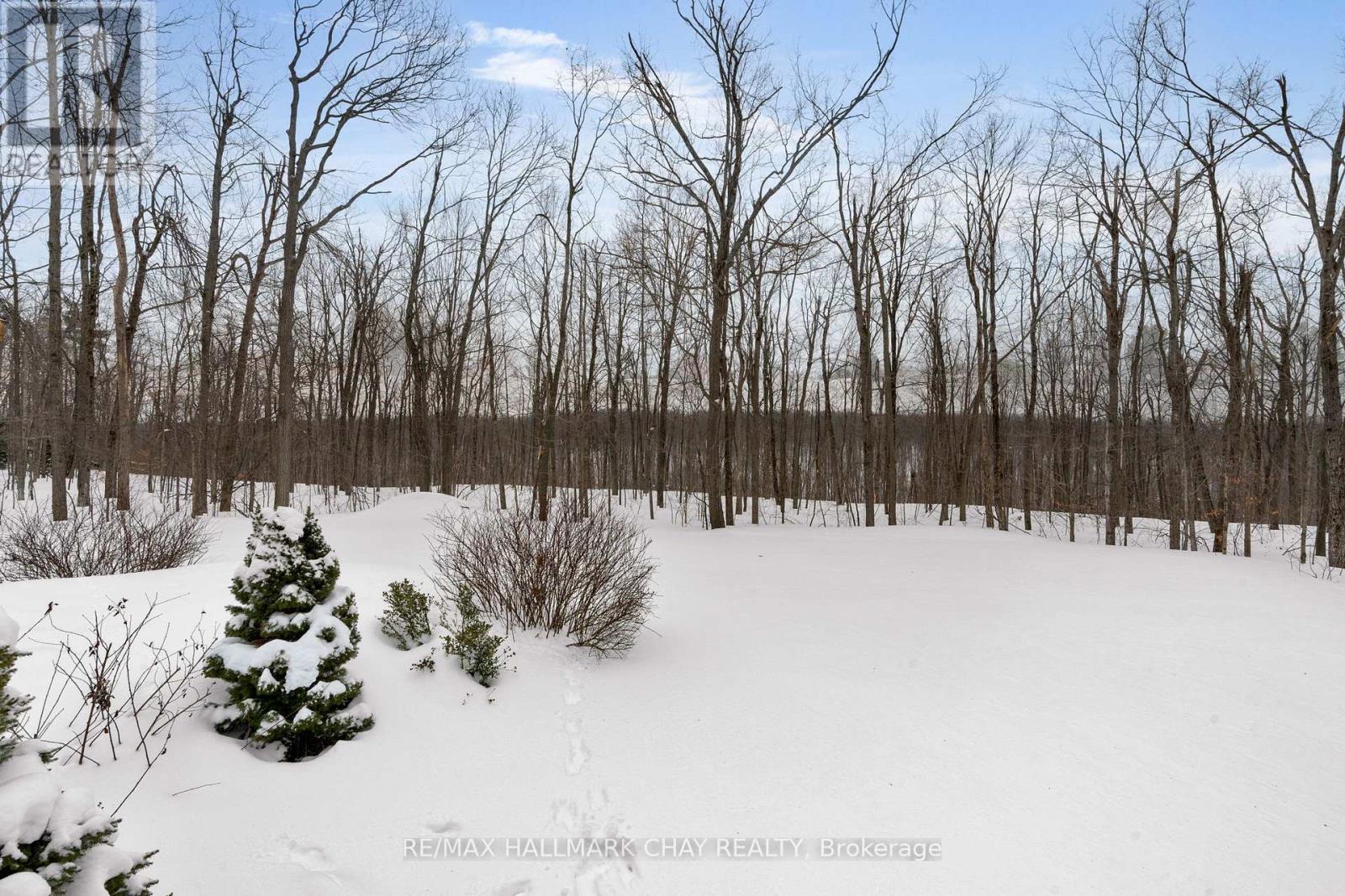 29 Maple Ridge Road, Oro-Medonte, Ontario  L0L 2L0 - Photo 35 - S12784104