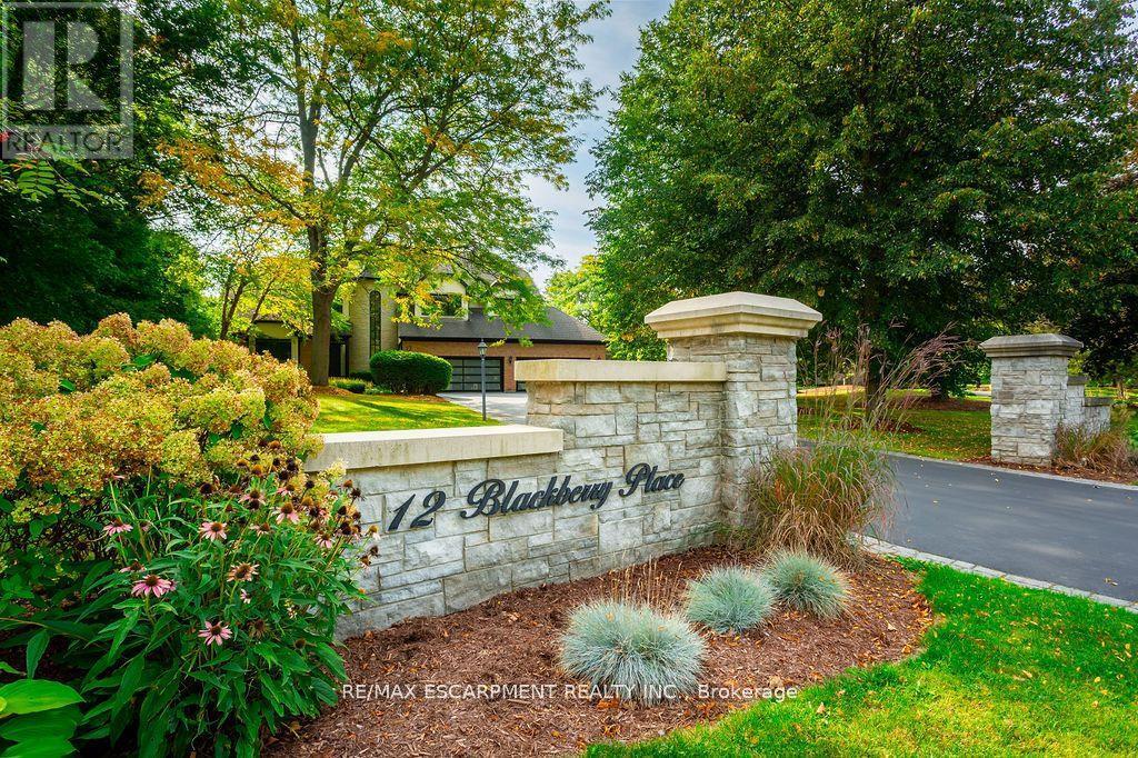 12 Blackberry Place, Hamilton, Ontario  L0R 1H2 - Photo 3 - X12585096