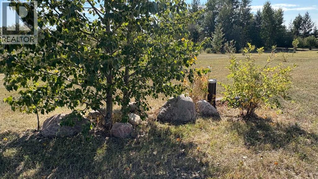 445045 Rng Rd 45, Rural Wainwright No. 61, Alberta T9W 1K0 - Photo 37 - A2257949