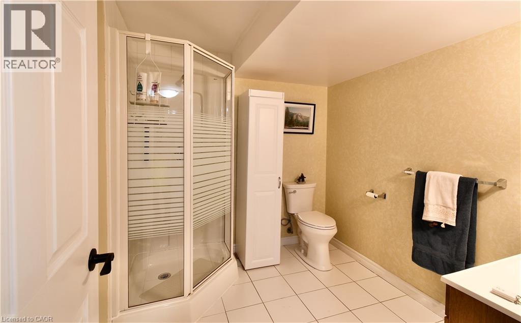 42 Greentrail Drive, Hamilton, Ontario  L0R 1W0 - Photo 28 - 40804867