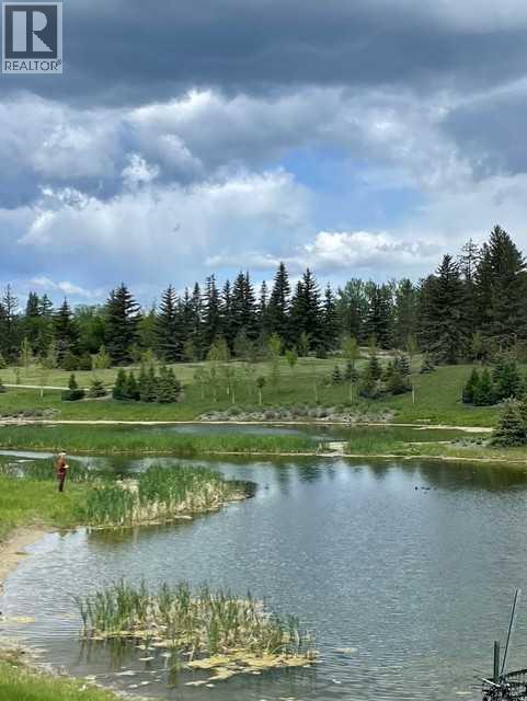 819 Shawnee Terrace Sw, Calgary, Alberta  T2Y 0T4 - Photo 38 - A2279331