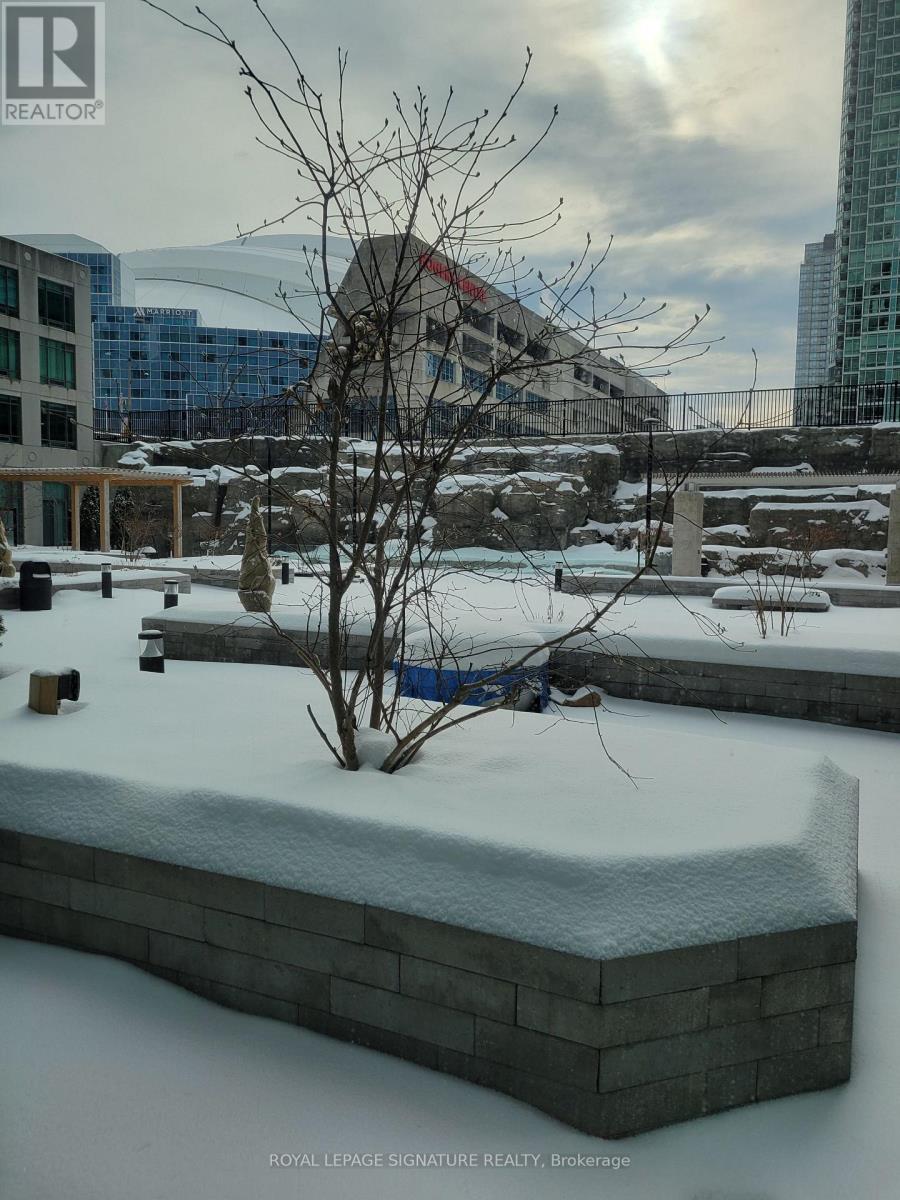 106 - 361 Front Street W, Toronto, Ontario  M5V 3R5 - Photo 24 - C12784568