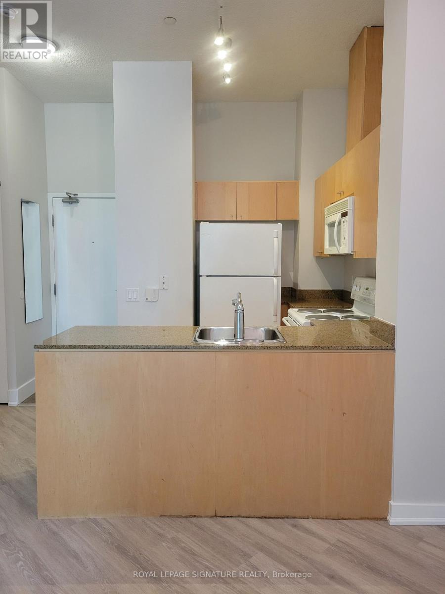 106 - 361 Front Street W, Toronto, Ontario  M5V 3R5 - Photo 5 - C12784568