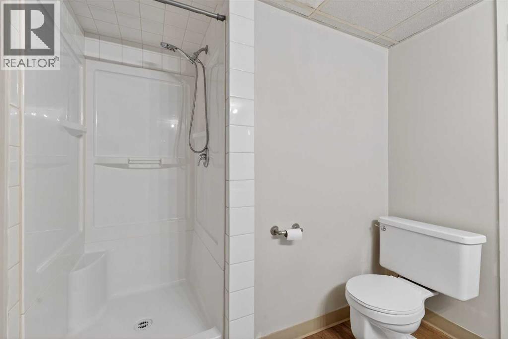 44 Spring Haven Close Se, Airdrie, Alberta  T4B 1G2 - Photo 30 - A2285945