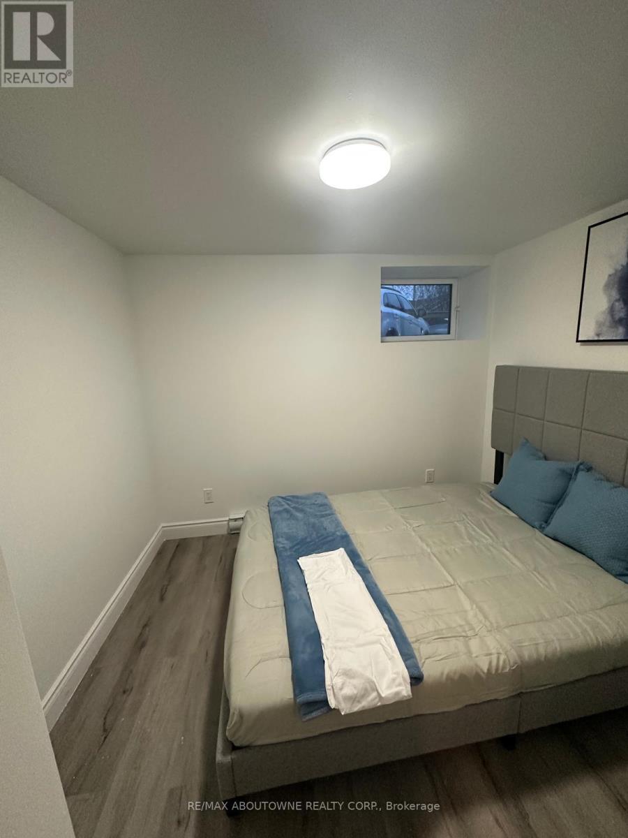 Lower - 66 Wellington Street S, Hamilton (Corktown), Ontario  L8N 2R1 - Photo 11 - X12784512