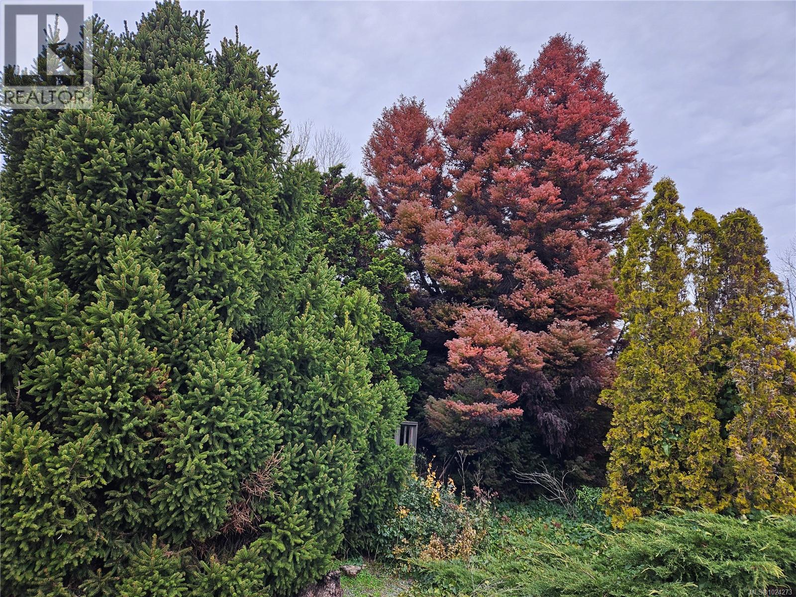 815 2885 Boys Rd, Duncan, British Columbia  V9L 4Y9 - Photo 39 - 1024273