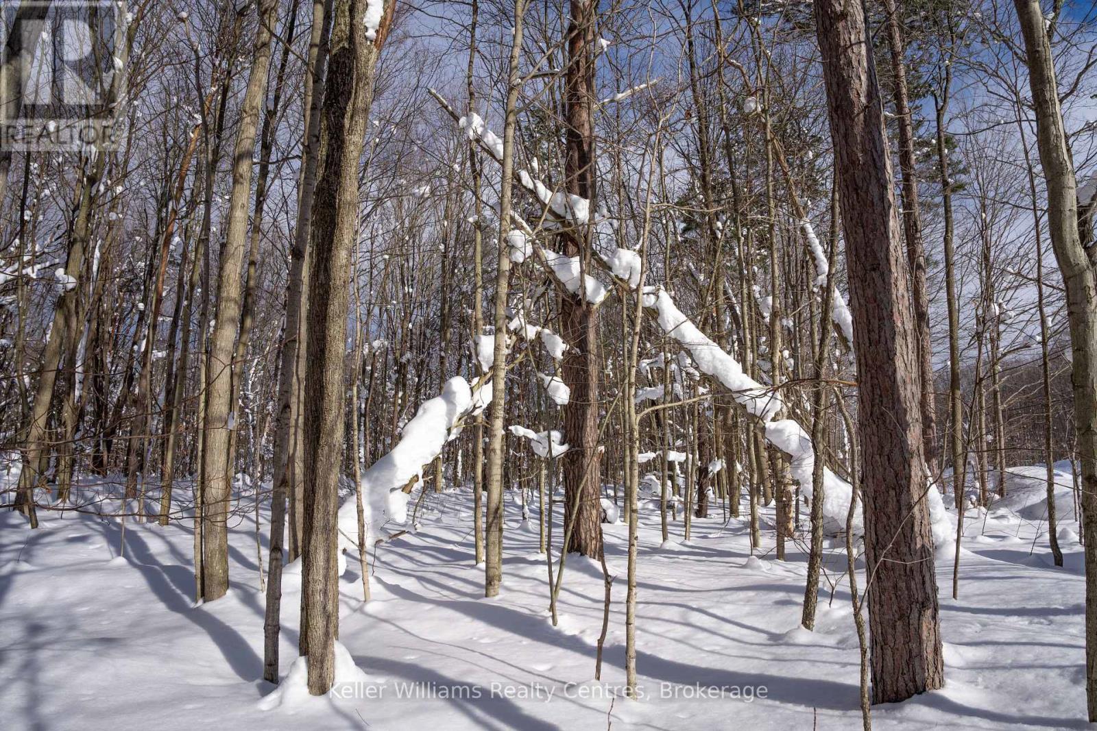 Lot 16 Grey Road 17, Georgian Bluffs, Ontario  N0H 2T0 - Photo 11 - X12763134