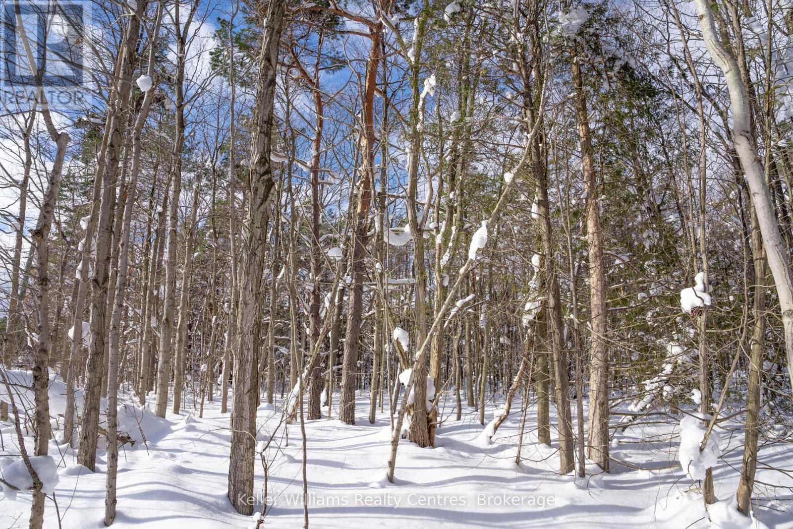 Lot 16 Grey Road 17, Georgian Bluffs, Ontario  N0H 2T0 - Photo 25 - X12763134