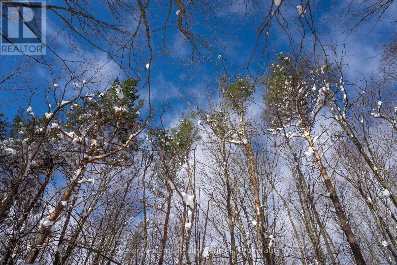 Lot 16 Grey Road 17, Georgian Bluffs, Ontario  N0H 2T0 - Photo 12 - X12763134