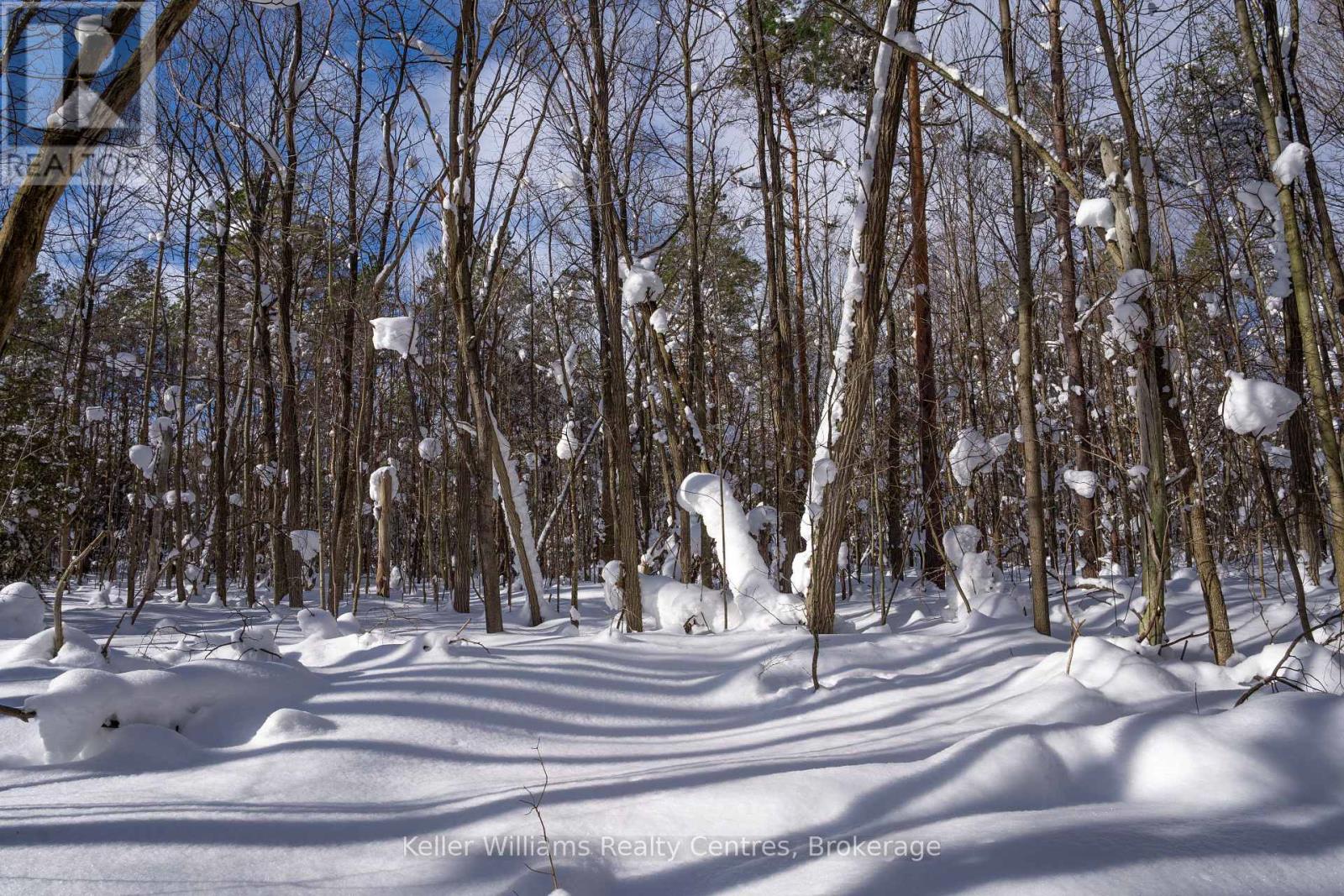Lot 16 Grey Road 17, Georgian Bluffs, Ontario  N0H 2T0 - Photo 21 - X12763134