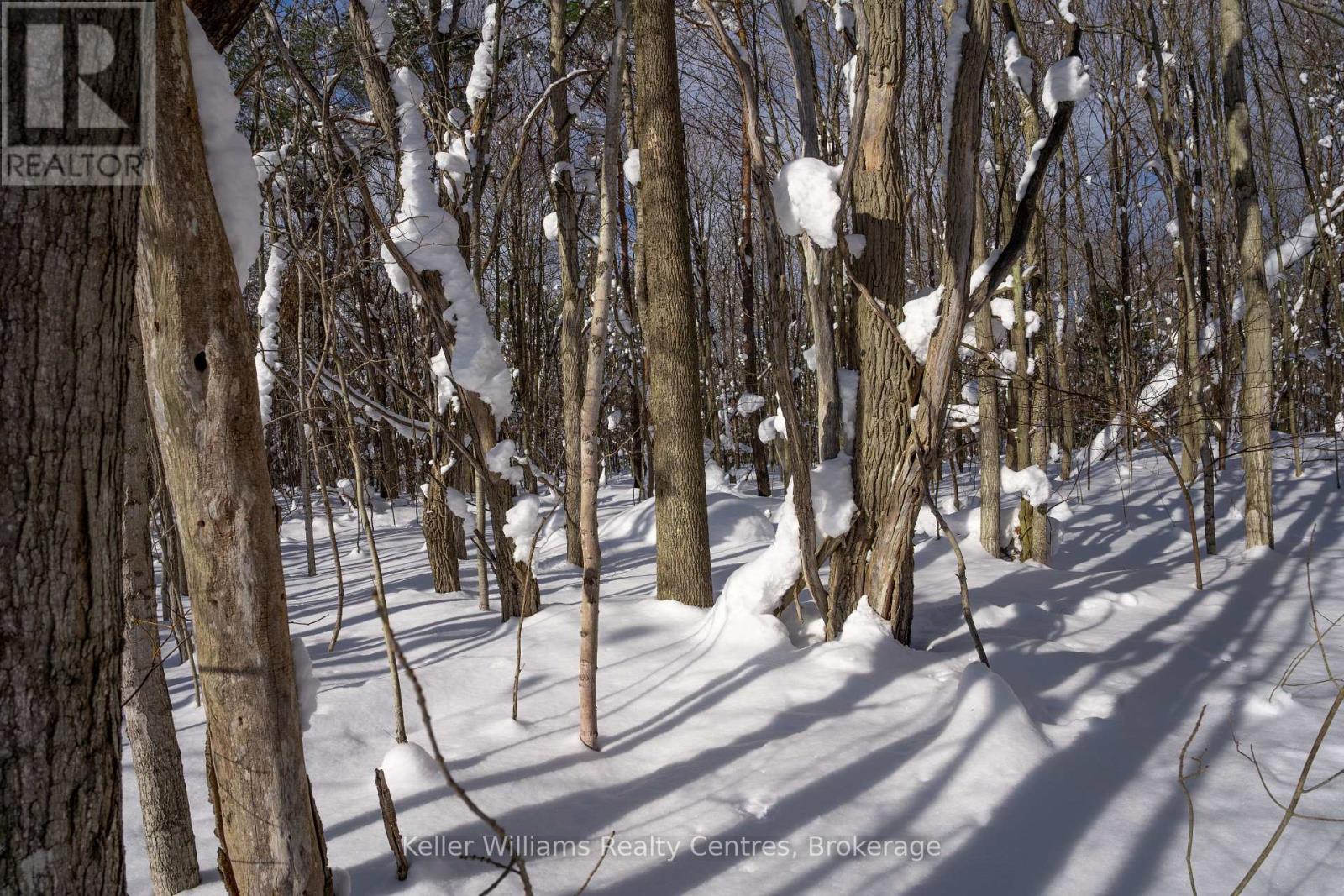 Lot 16 Grey Road 17, Georgian Bluffs, Ontario  N0H 2T0 - Photo 29 - X12763134