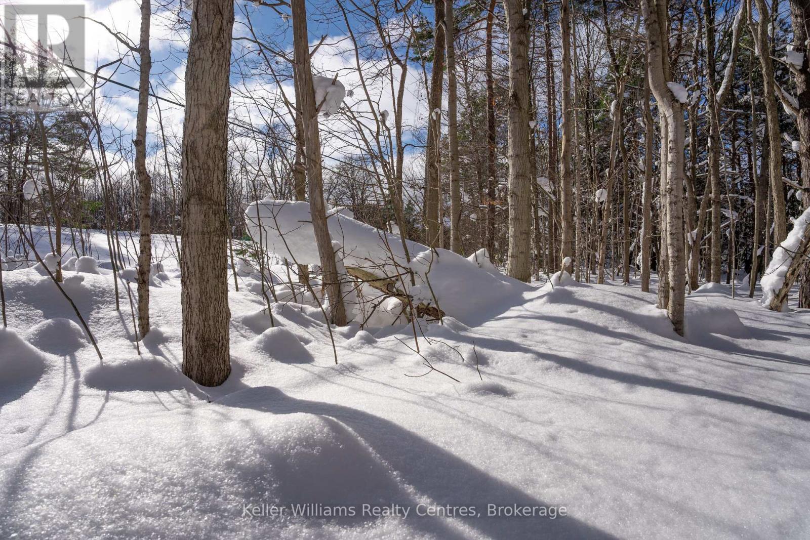 Lot 16 Grey Road 17, Georgian Bluffs, Ontario  N0H 2T0 - Photo 27 - X12763134