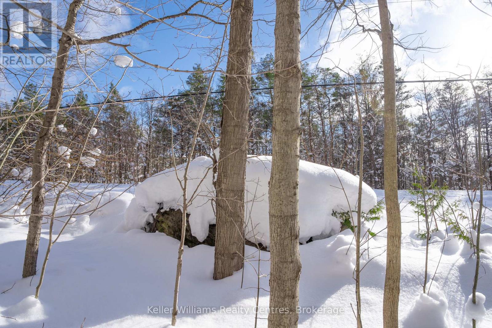 Lot 16 Grey Road 17, Georgian Bluffs, Ontario  N0H 2T0 - Photo 28 - X12763134