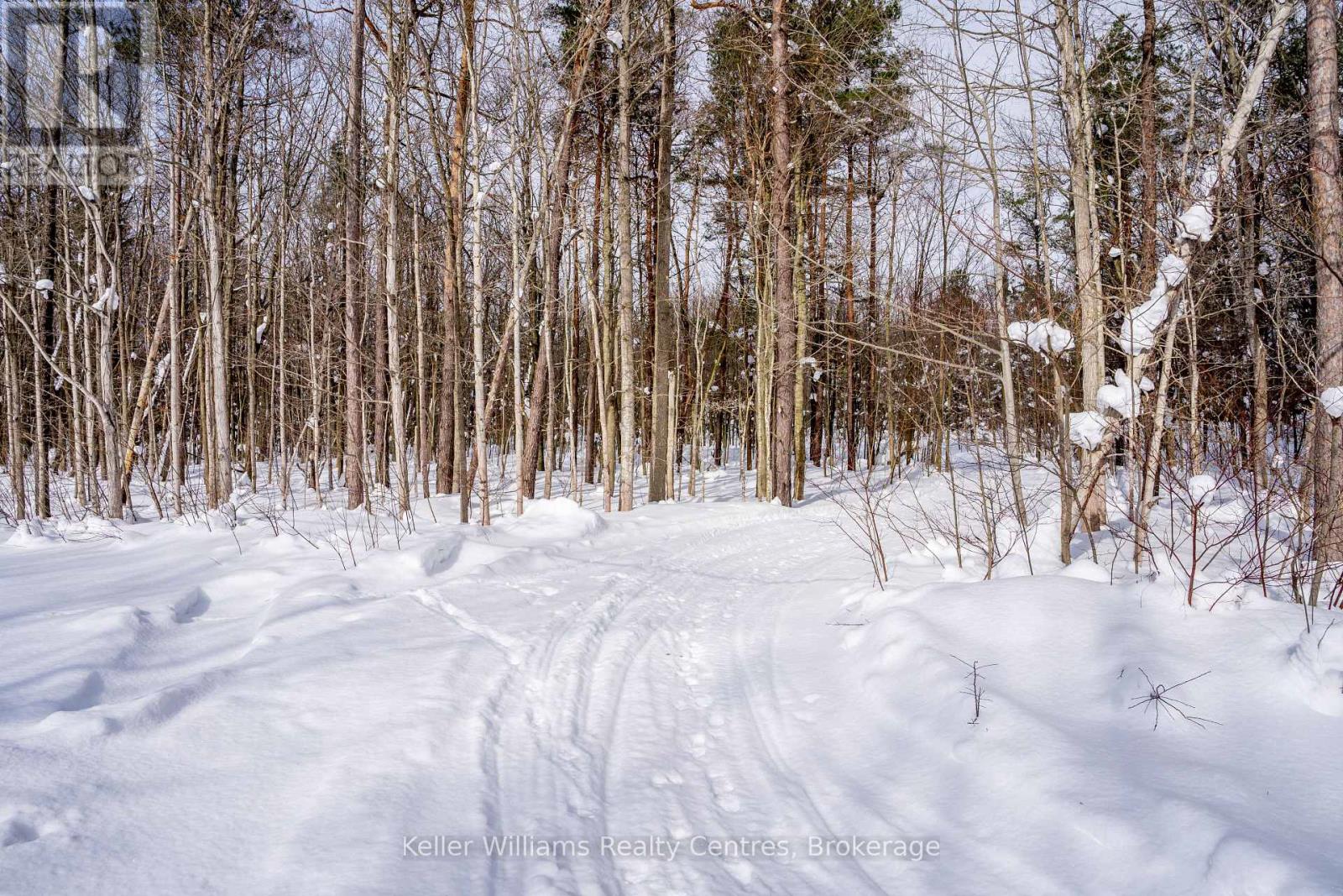 Lot 16 Grey Road 17, Georgian Bluffs, Ontario  N0H 2T0 - Photo 5 - X12763134