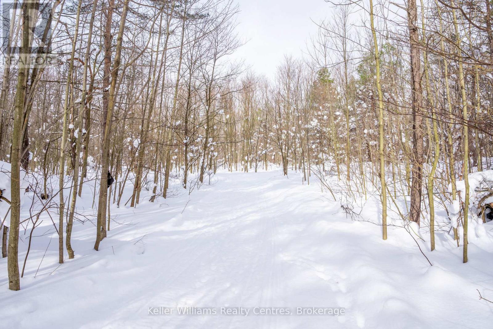 Lot 16 Grey Road 17, Georgian Bluffs, Ontario  N0H 2T0 - Photo 3 - X12763134