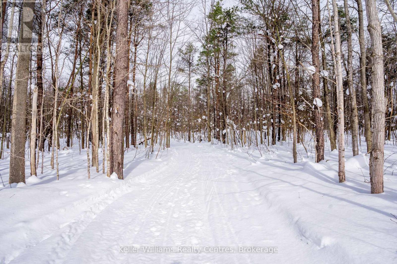 Lot 16 Grey Road 17, Georgian Bluffs, Ontario  N0H 2T0 - Photo 4 - X12763134