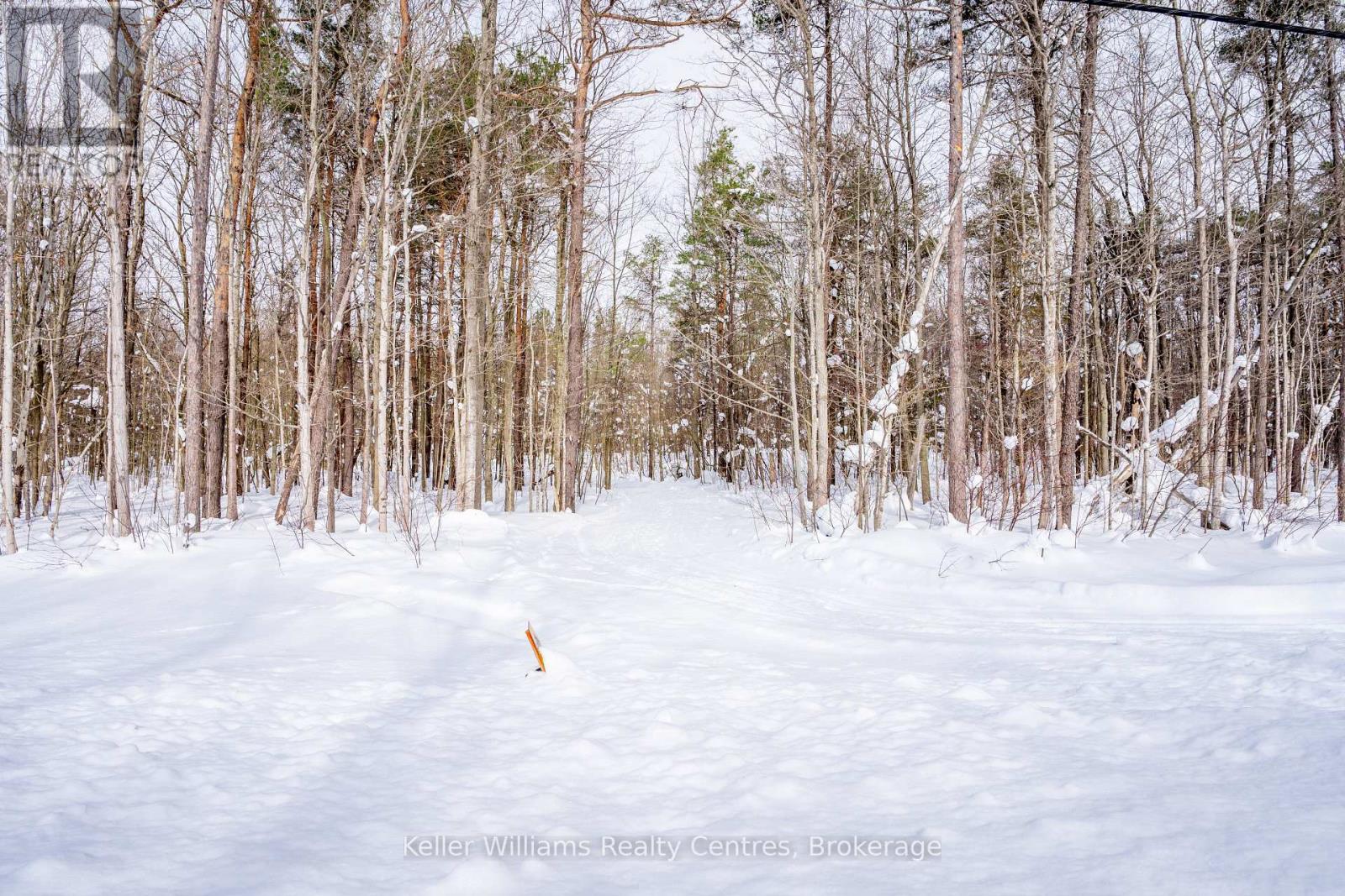 Lot 16 Grey Road 17, Georgian Bluffs, Ontario  N0H 2T0 - Photo 6 - X12763134