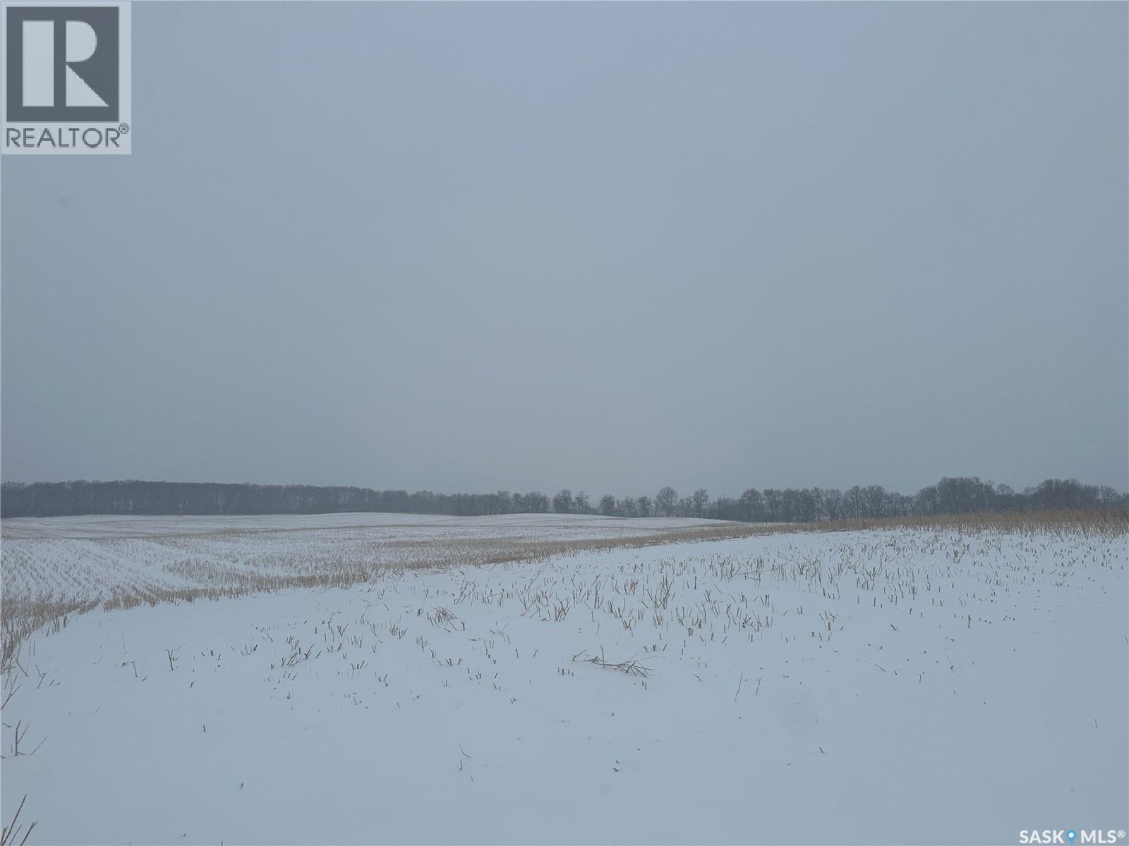 Estate Of Mildred Boukal Farmland, Fertile Belt Rm No. 183, Saskatchewan  S0A 0X0 - Photo 3 - SK028440