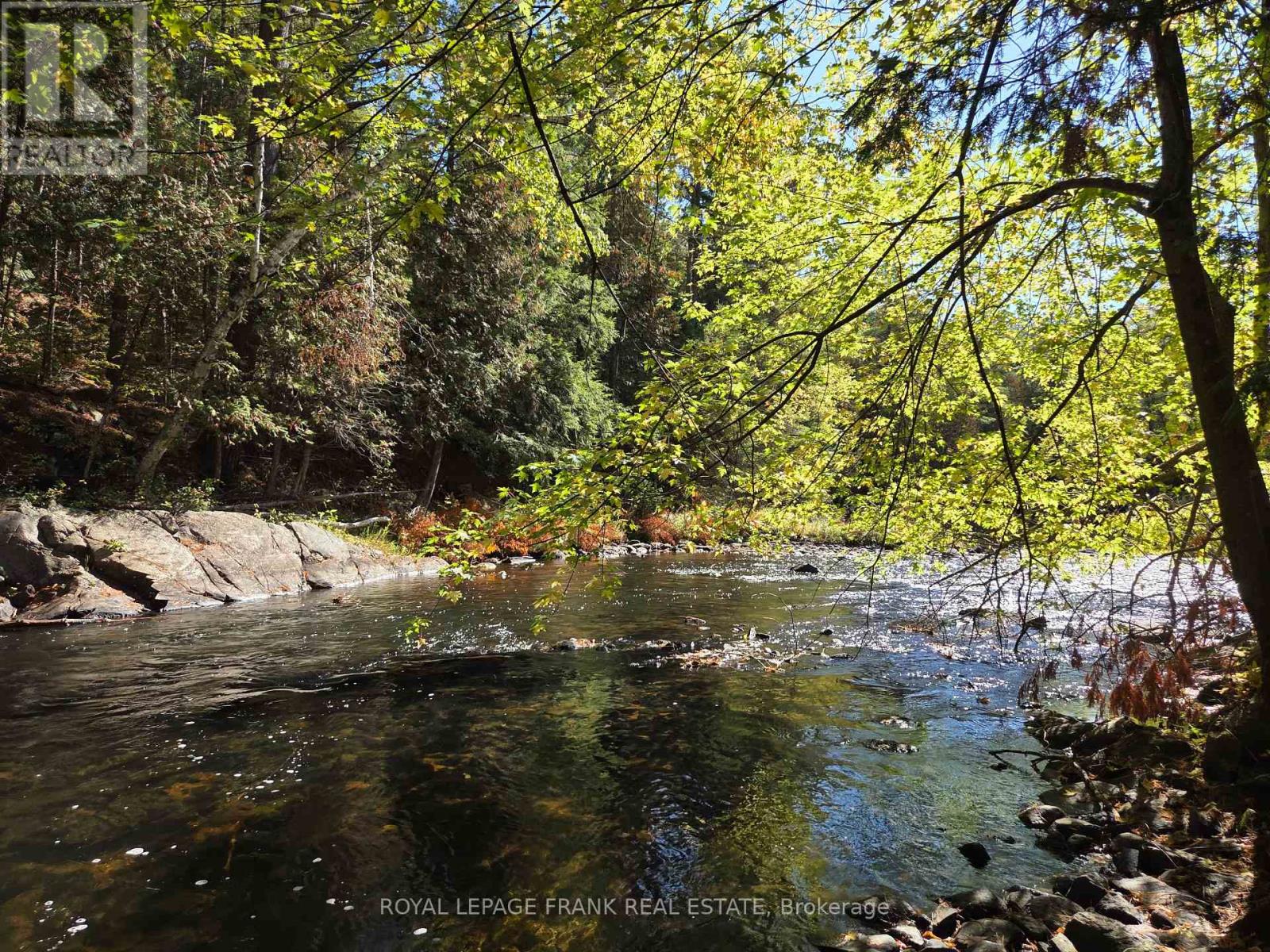 8847 Highway 28, North Kawartha, Ontario  K0L 1A0 - Photo 31 - X12677536