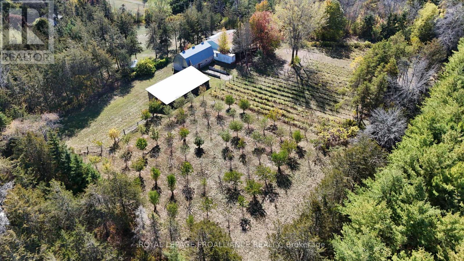 4563 County 9 Road, Greater Napanee (Greater Napanee), Ontario  K7R 3K8 - Photo 35 - X12784822