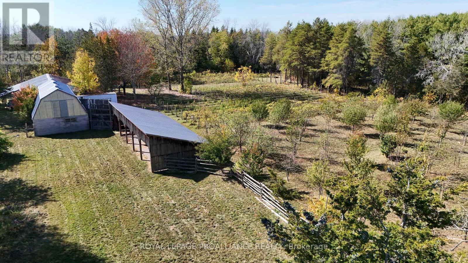 4563 County 9 Road, Greater Napanee (Greater Napanee), Ontario  K7R 3K8 - Photo 36 - X12784822