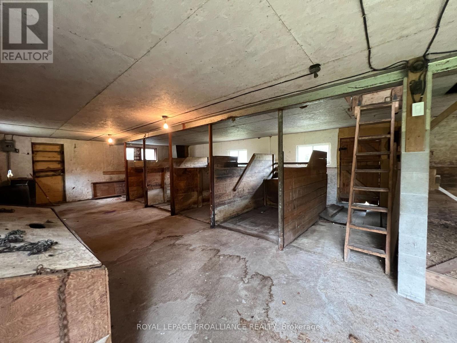 4563 County 9 Road, Greater Napanee (Greater Napanee), Ontario  K7R 3K8 - Photo 39 - X12784822