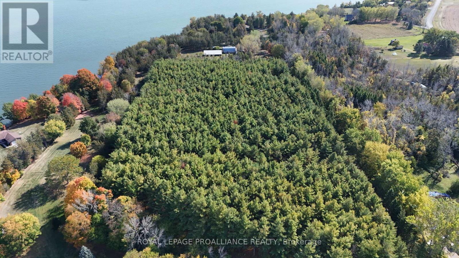 4563 County 9 Road, Greater Napanee (Greater Napanee), Ontario  K7R 3K8 - Photo 44 - X12784822