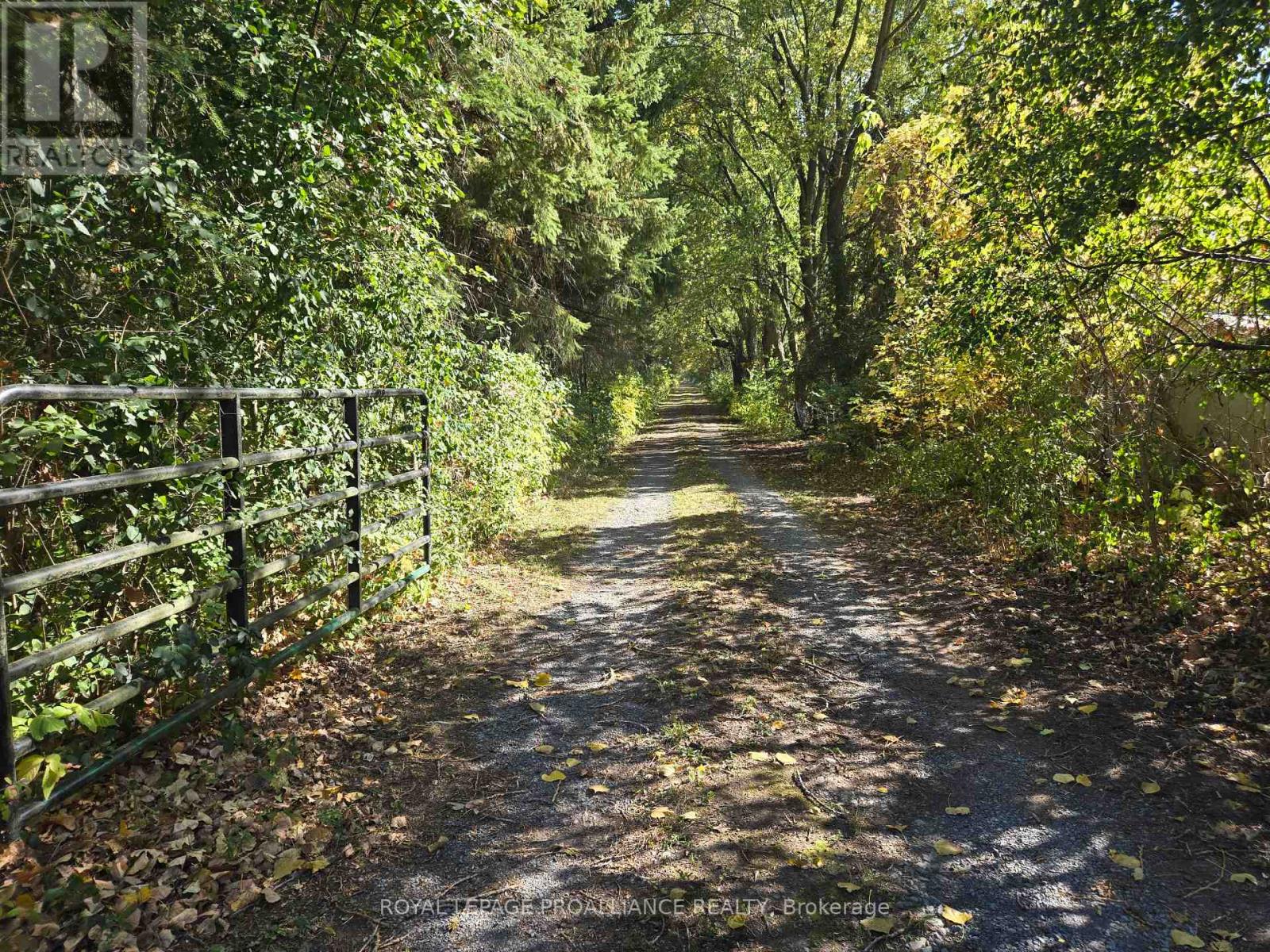 4563 County 9 Road, Greater Napanee (Greater Napanee), Ontario  K7R 3K8 - Photo 45 - X12784822