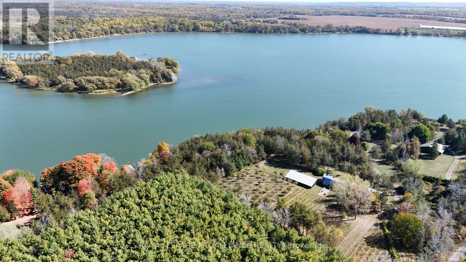 4563 County 9 Road, Greater Napanee (Greater Napanee), Ontario  K7R 3K8 - Photo 5 - X12784822