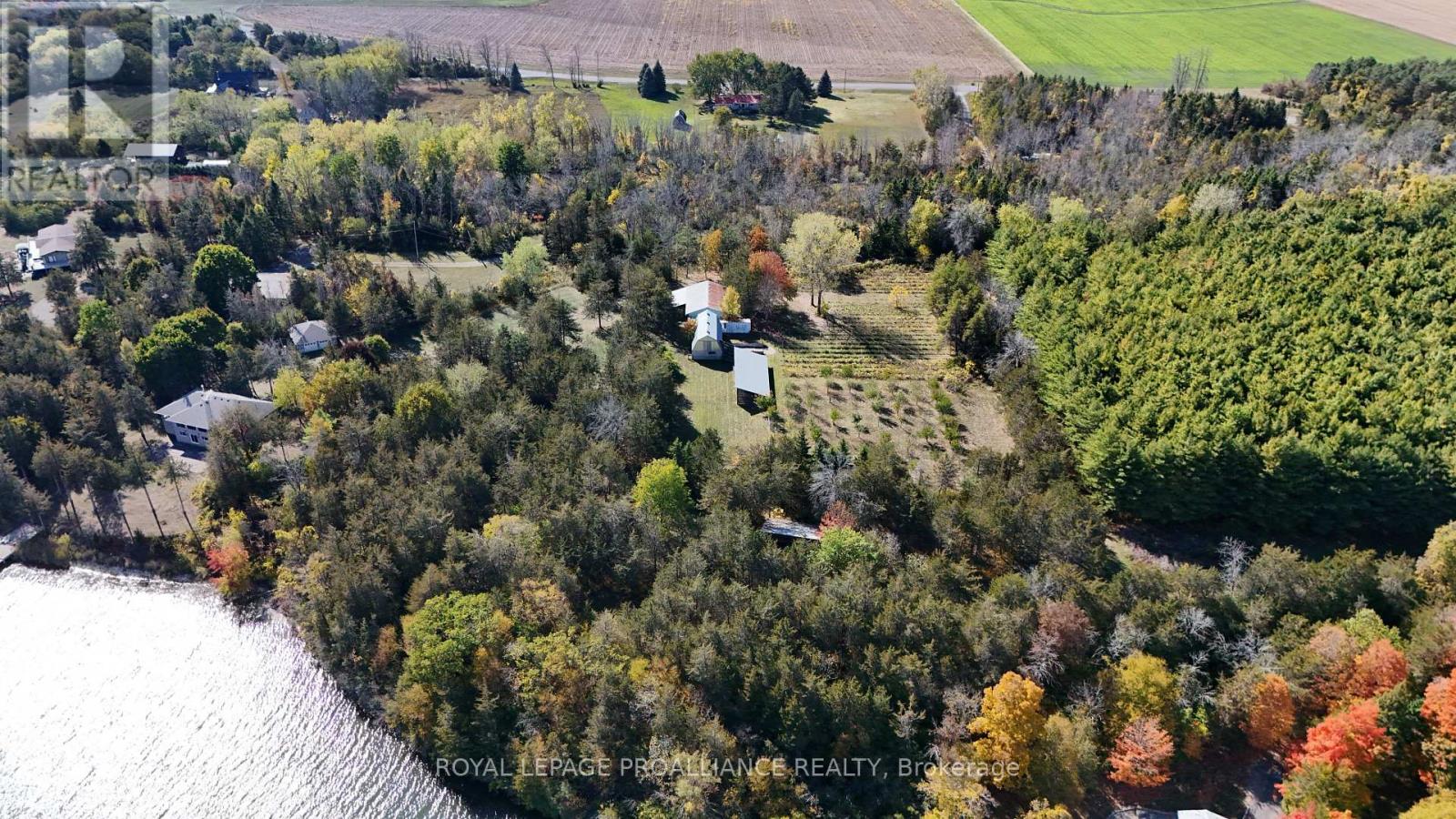 4563 County 9 Road, Greater Napanee (Greater Napanee), Ontario  K7R 3K8 - Photo 50 - X12784822