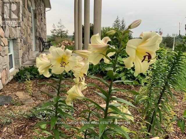 3071 5th Line E, Trent Hills (Campbellford), Ontario  K0L 1L0 - Photo 42 - X12774886