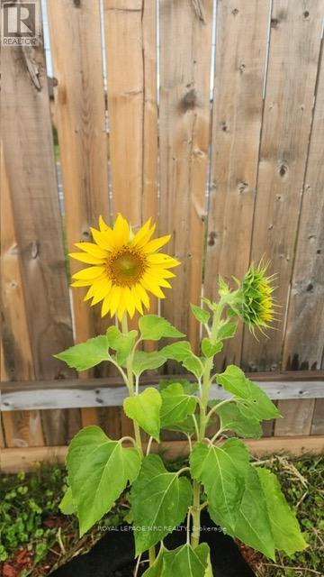 625 Lincoln Street, Welland (Lincoln/crowland), Ontario  L3B 4R2 - Photo 48 - X12778884