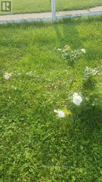 625 Lincoln Street, Welland (Lincoln/crowland), Ontario  L3B 4R2 - Photo 50 - X12778884