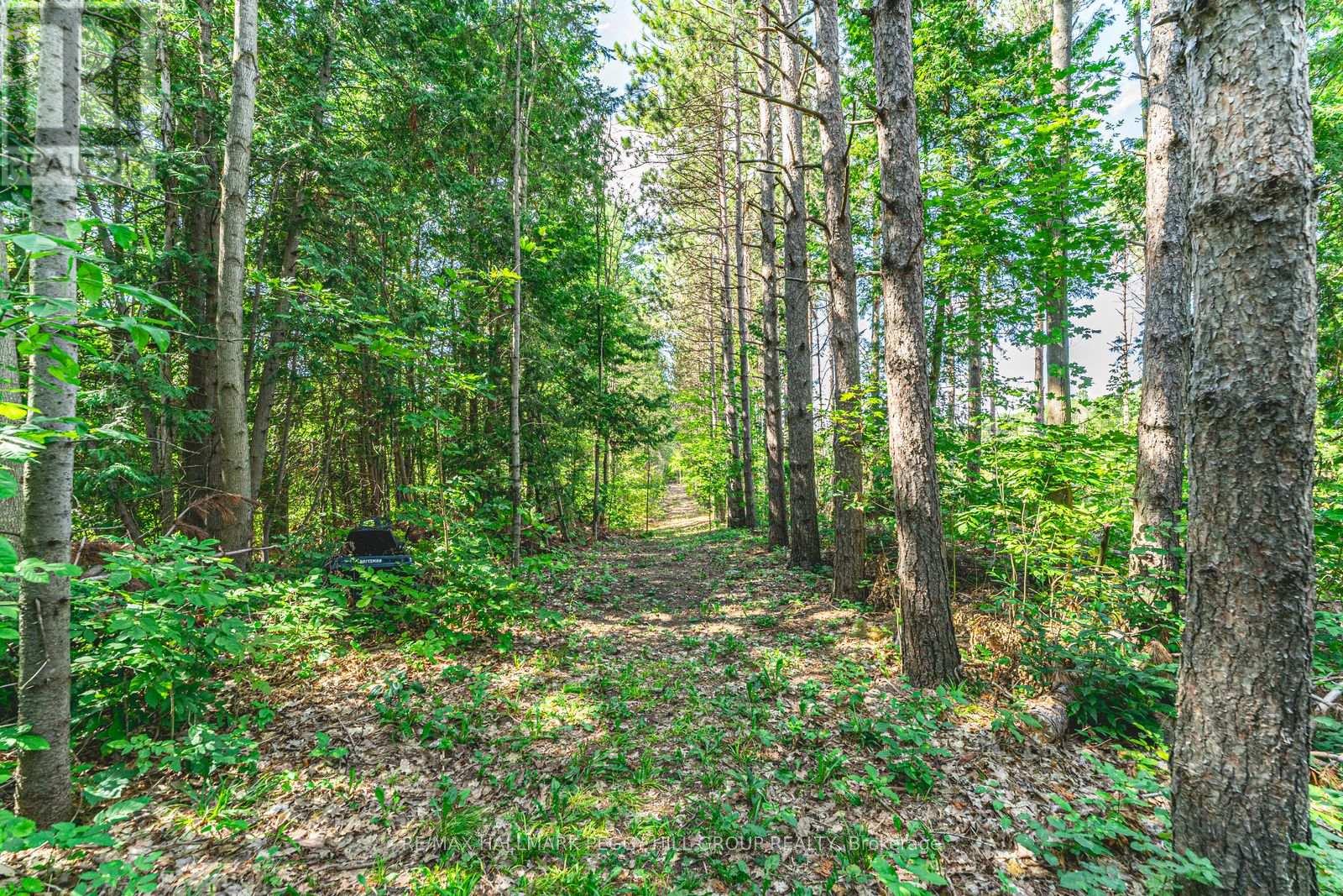 3891 9 Line N, Oro-Medonte, Ontario  L0K 1E0 - Photo 28 - S12785024