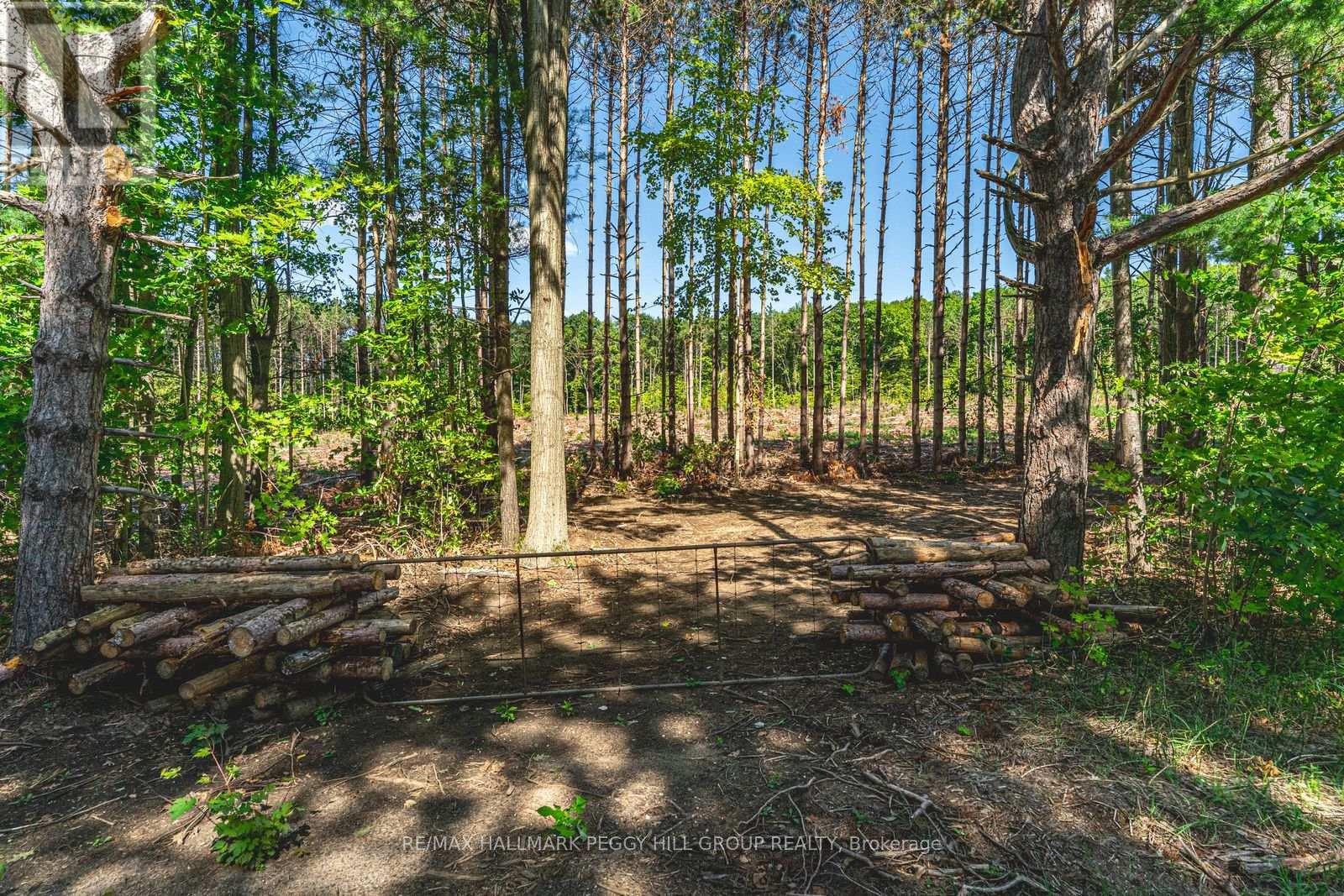 3891 9 Line N, Oro-Medonte, Ontario  L0K 1E0 - Photo 29 - S12785024